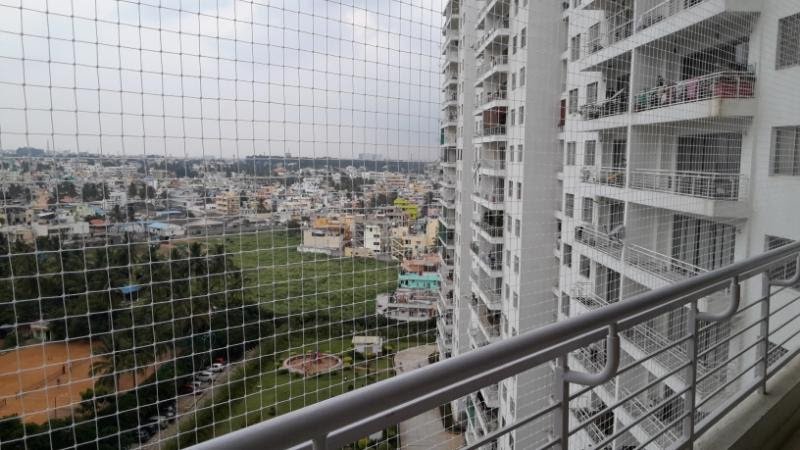 Pigeon Nets Fixing for Balconies Near Me