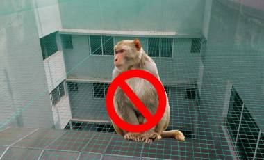 Monkey Safety Nets for Balconies